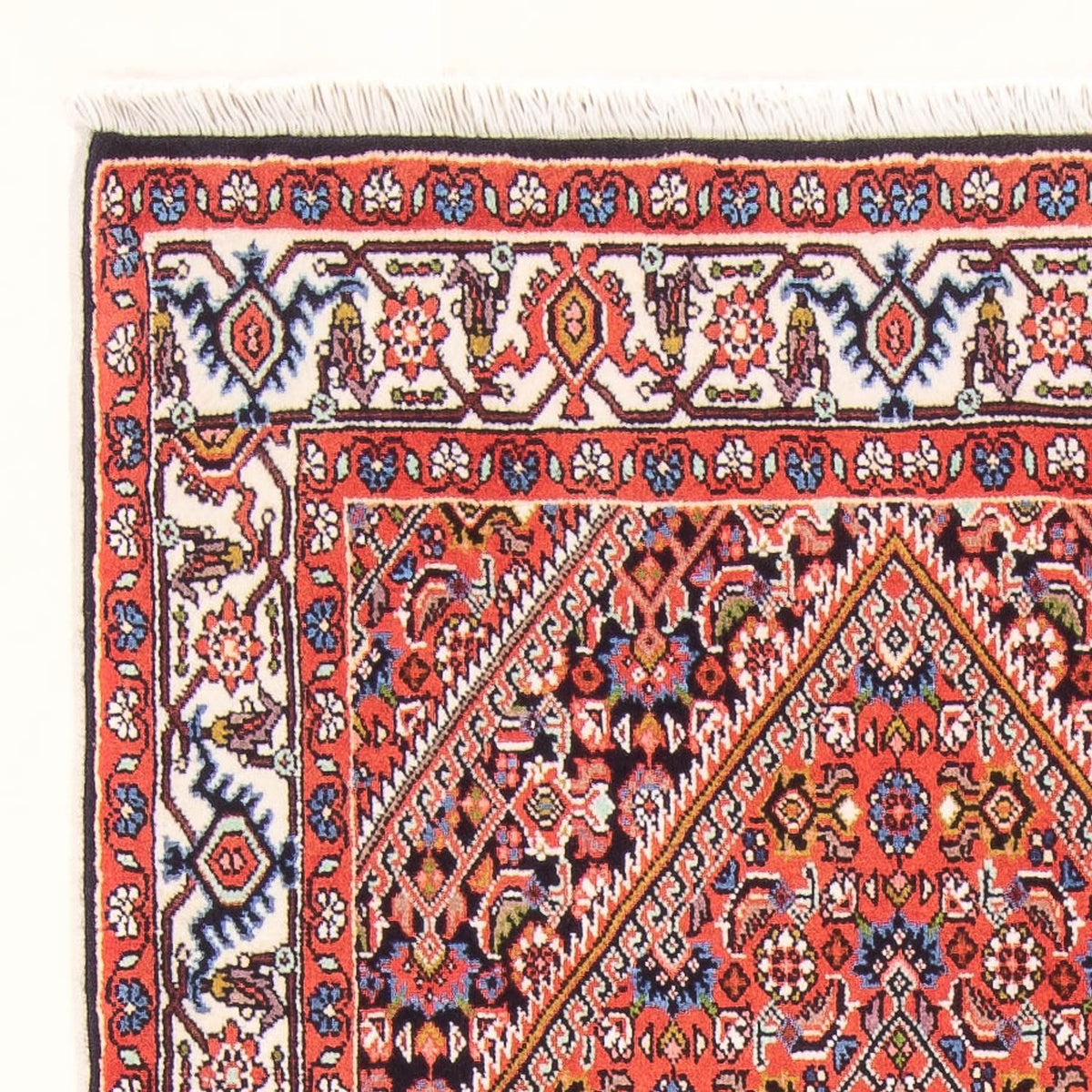 Bidjar - Bukan Rug 78x152cm - Persian Rugs - red