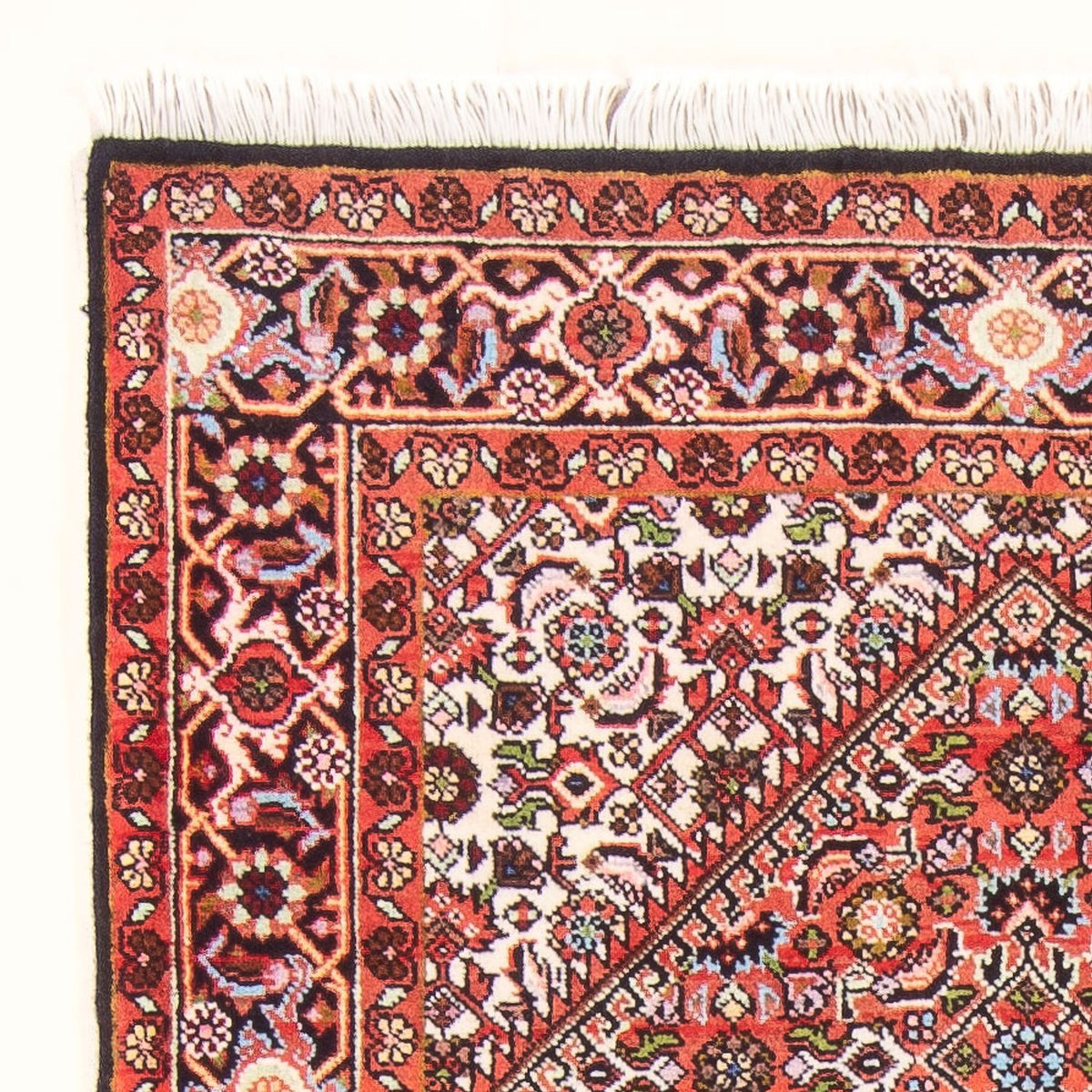 Bidjar - Bukan Rug 82x142cm - Persian Rugs - red