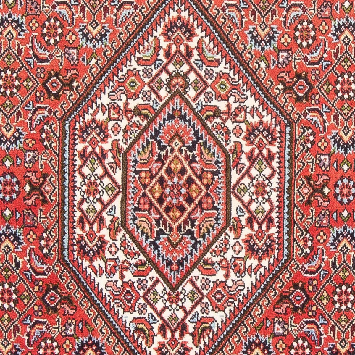 Perser Rug - Bidjar - 155 x 85 cm - red