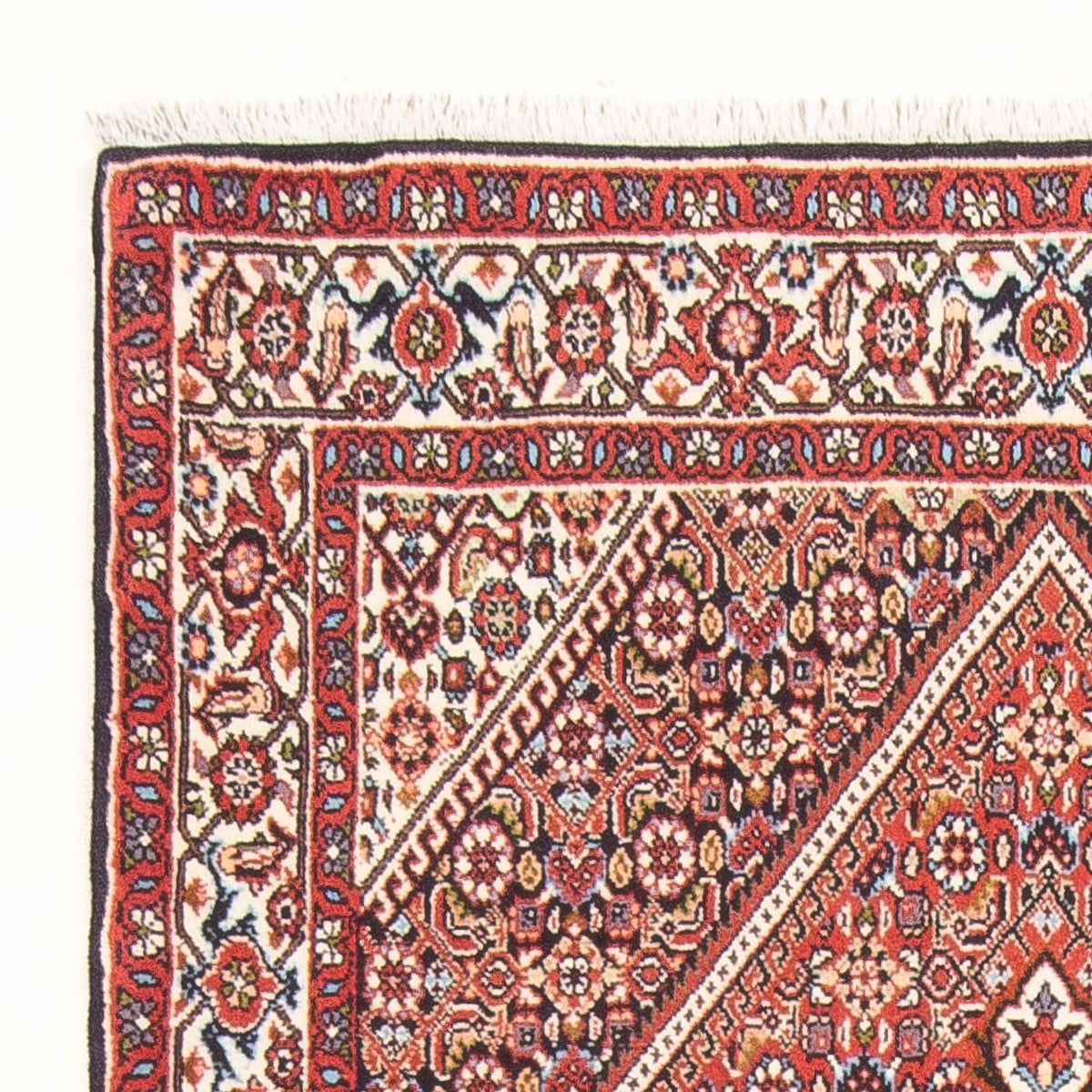 Perser Rug - Bidjar - 154 x 90 cm - red