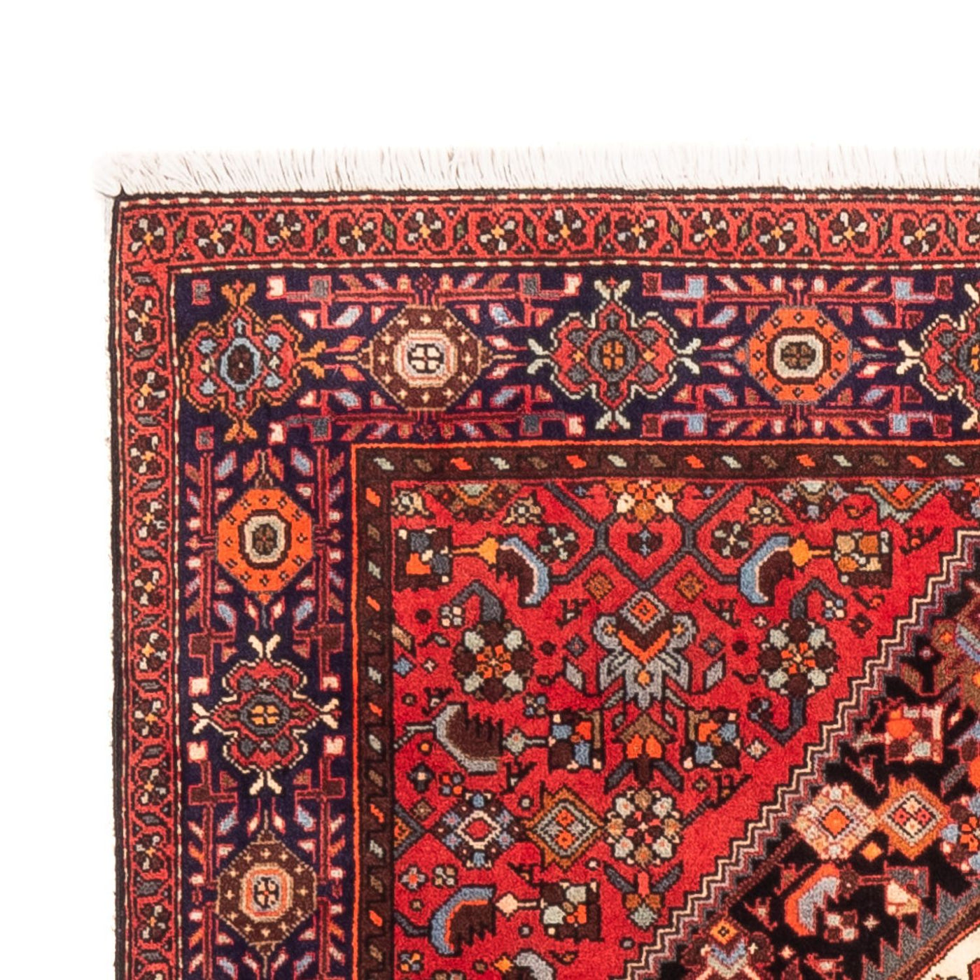 Hamadan Rug 157x106cm - Persian Rugs