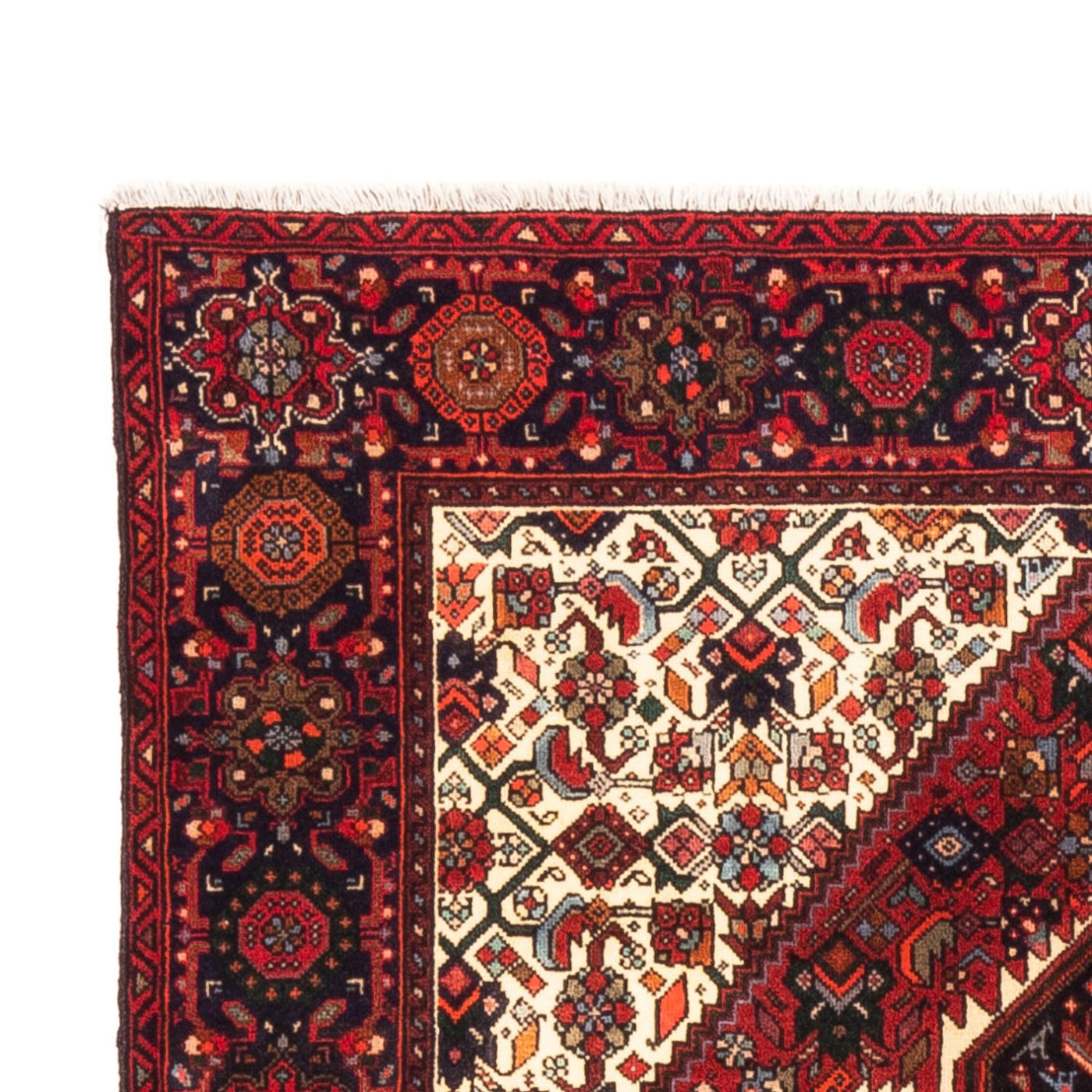 Gholtogh Rug 153x103cm - Persian Rugs