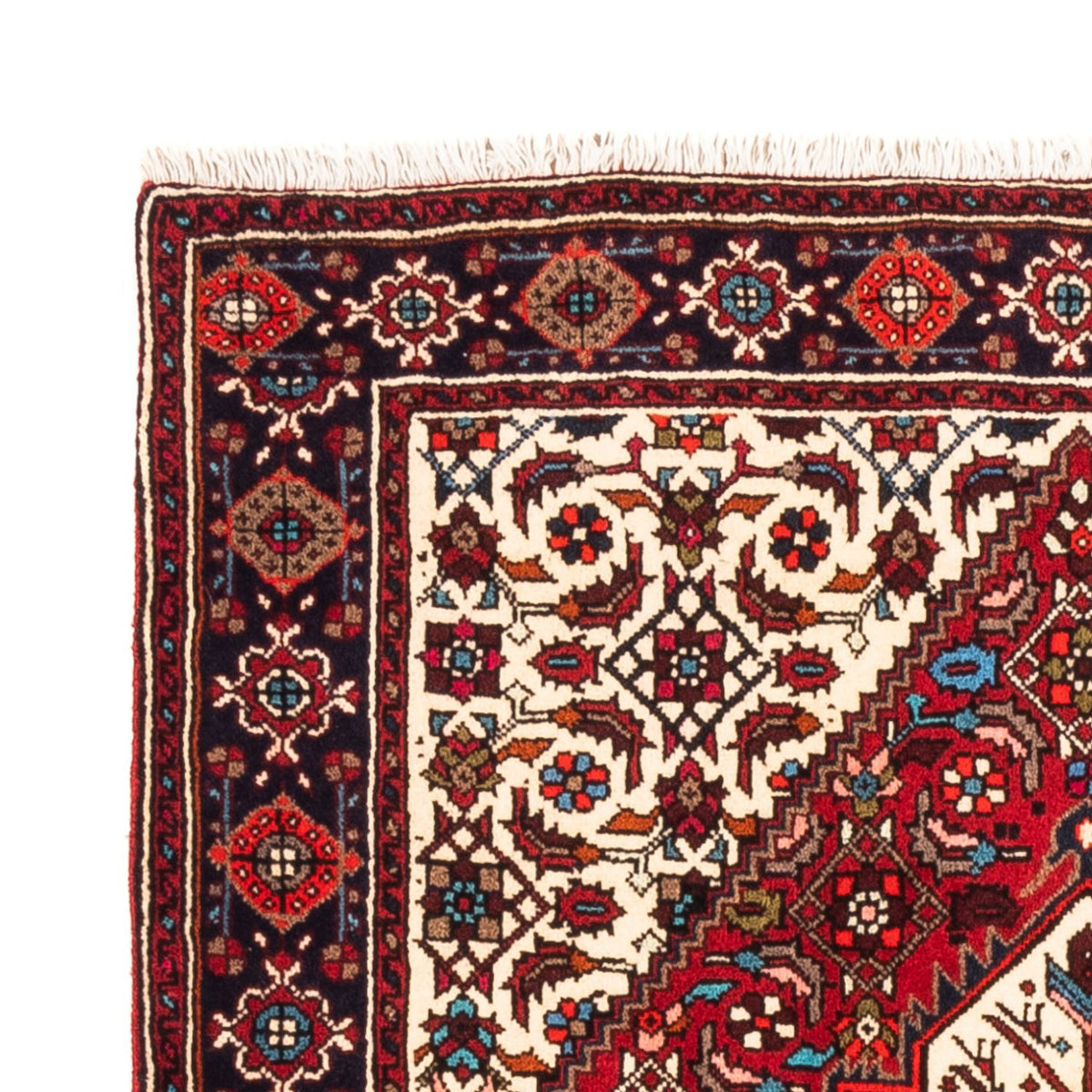 Gholtogh Rug 107x156cm - Persian Rugs