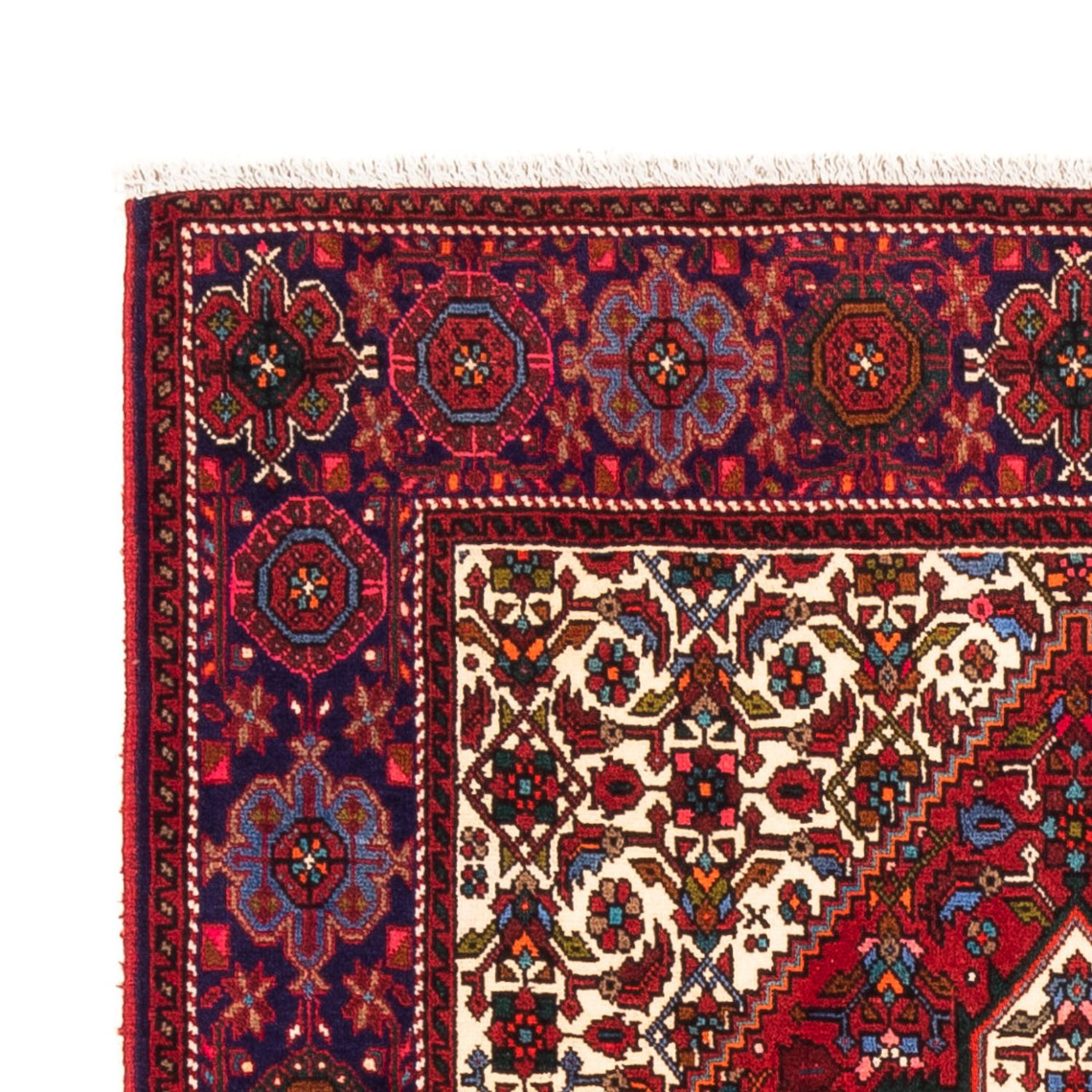 Gholtogh Rug 155x100cm - Persian Rugs