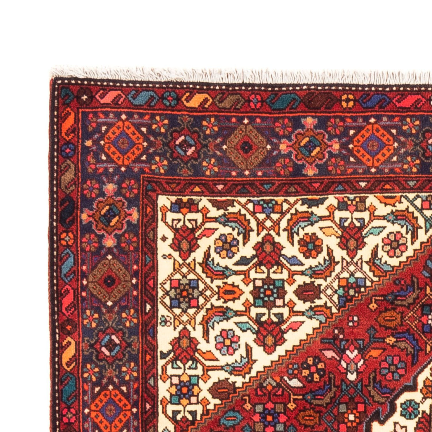 Gholtogh Rug 155x100cm - Persian Rugs
