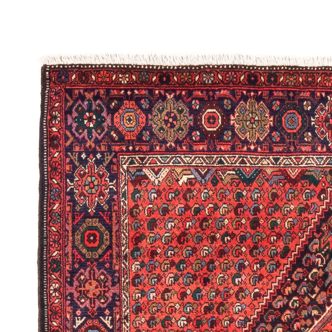 Gholtogh Rug 148x100cm - Persian Rugs