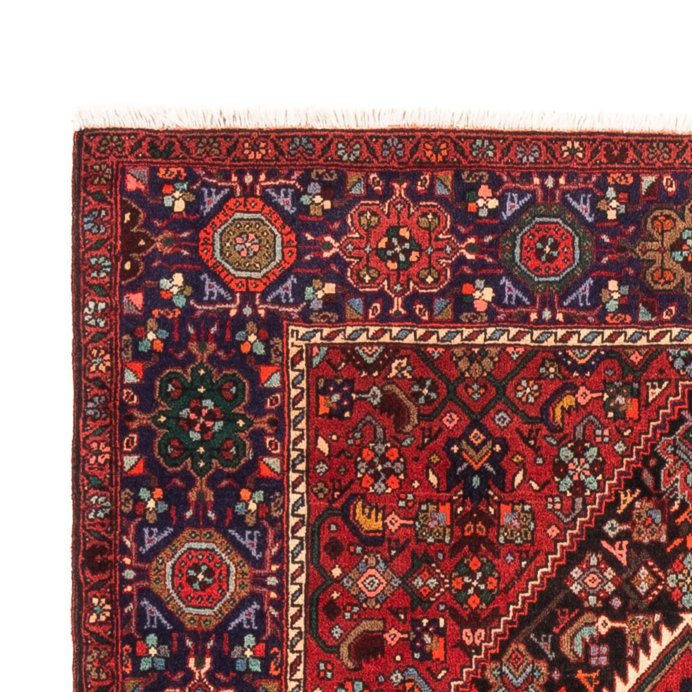 Gholtogh Rug 152x100cm - Persian Rugs