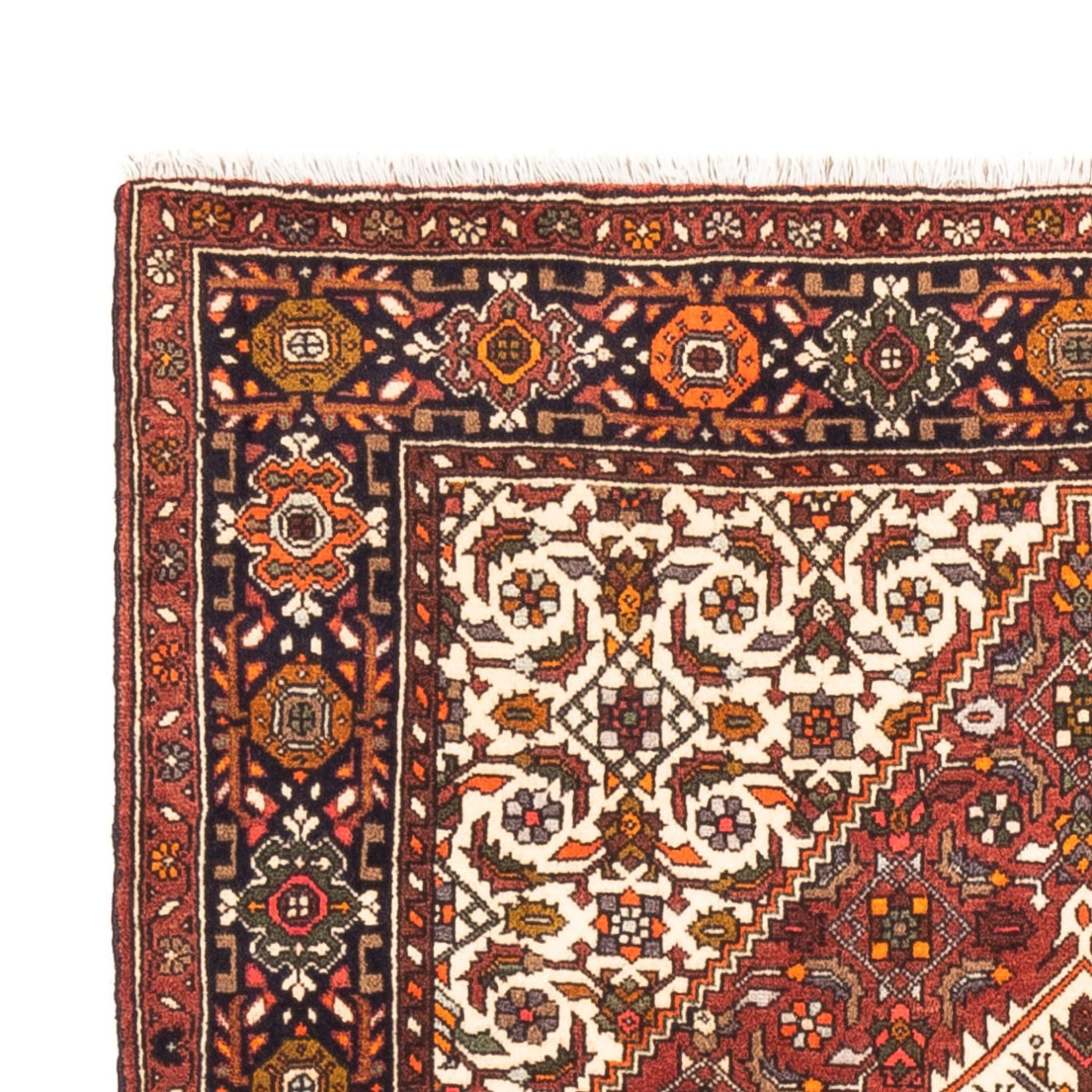 Gholtogh Rug 149x100cm - Persian Rugs