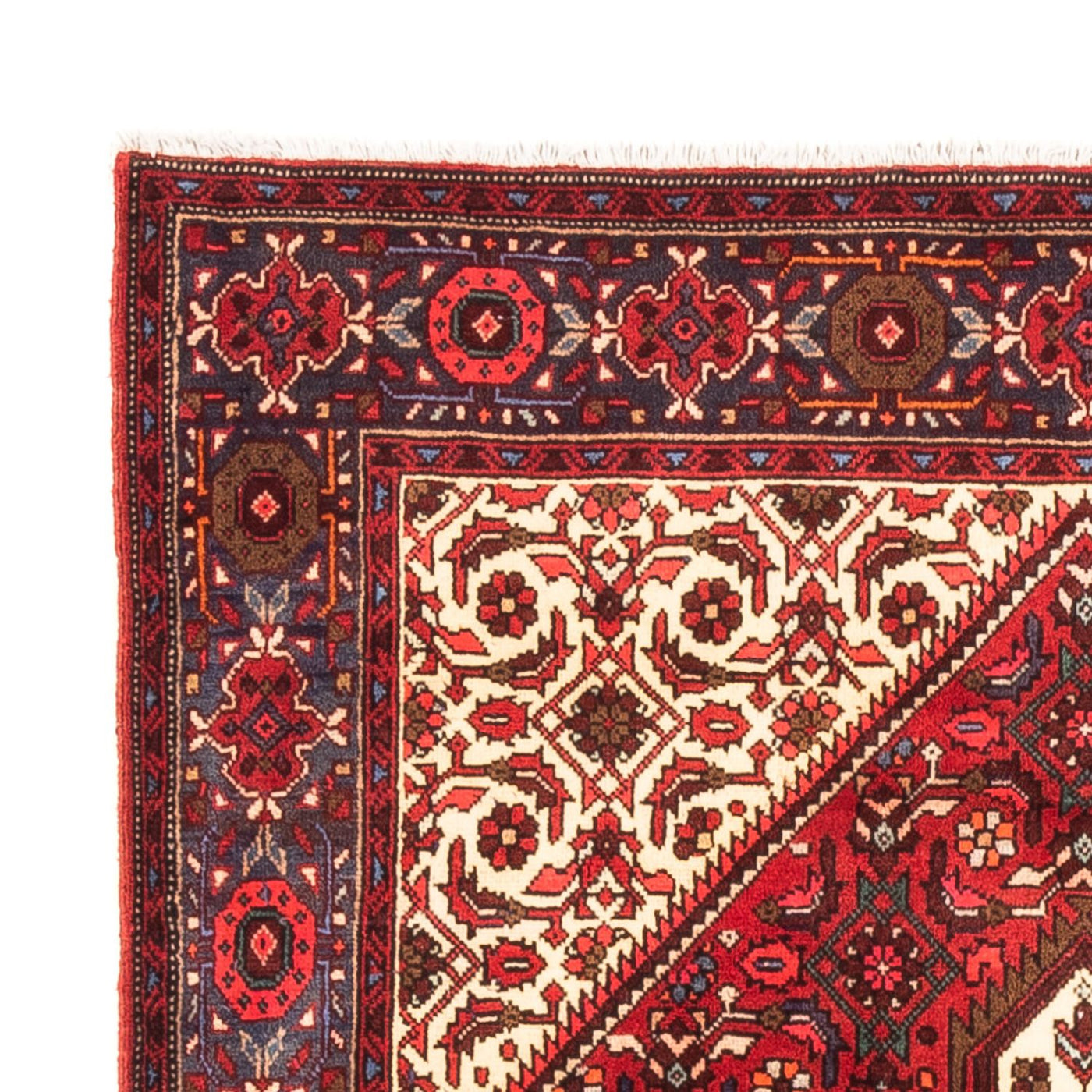 Gholtogh Rug 148x100cm - Persian Rugs