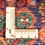 Gholtogh Rug 155x102cm - Persian Rugs