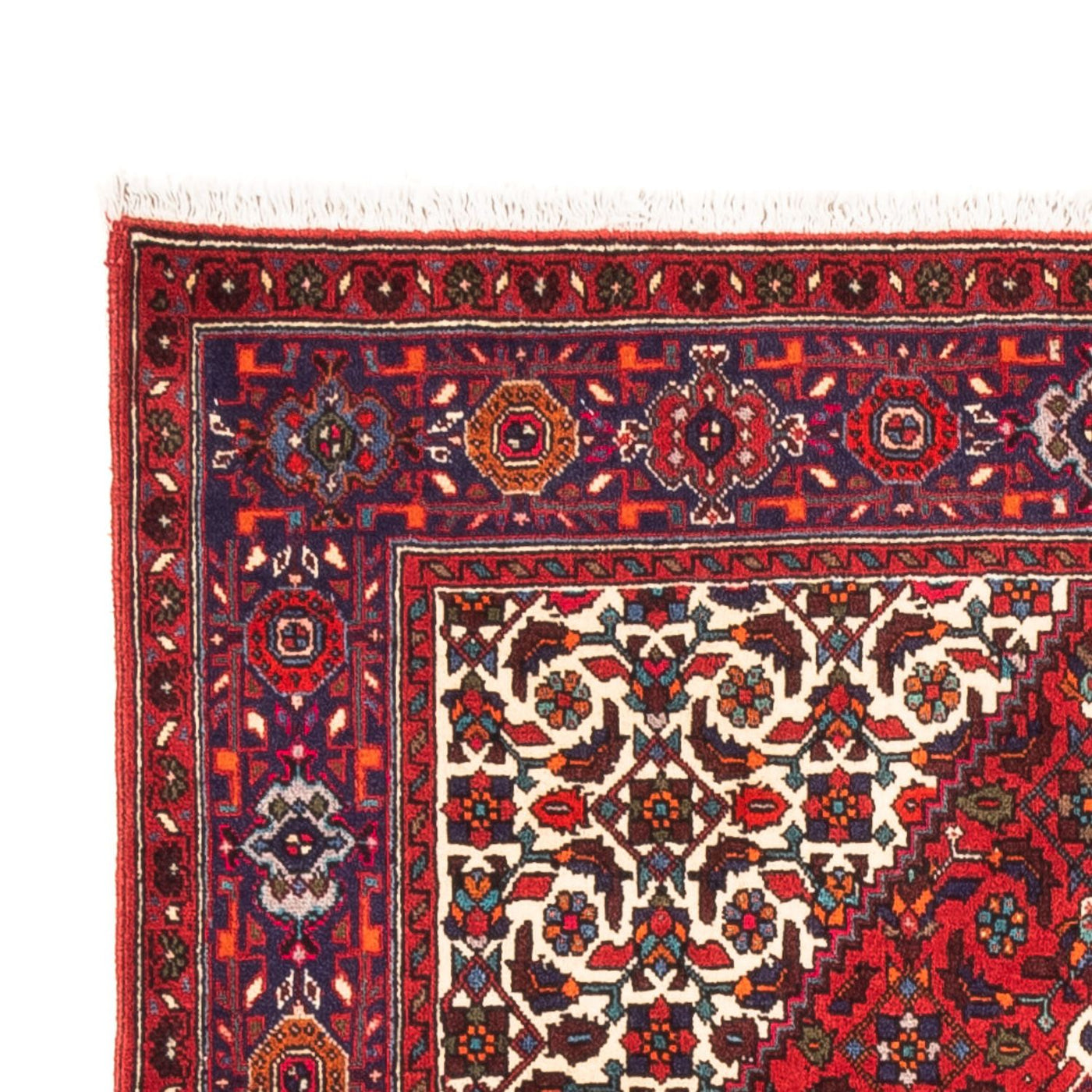 Gholtogh Rug 155x100cm - Persian Rugs