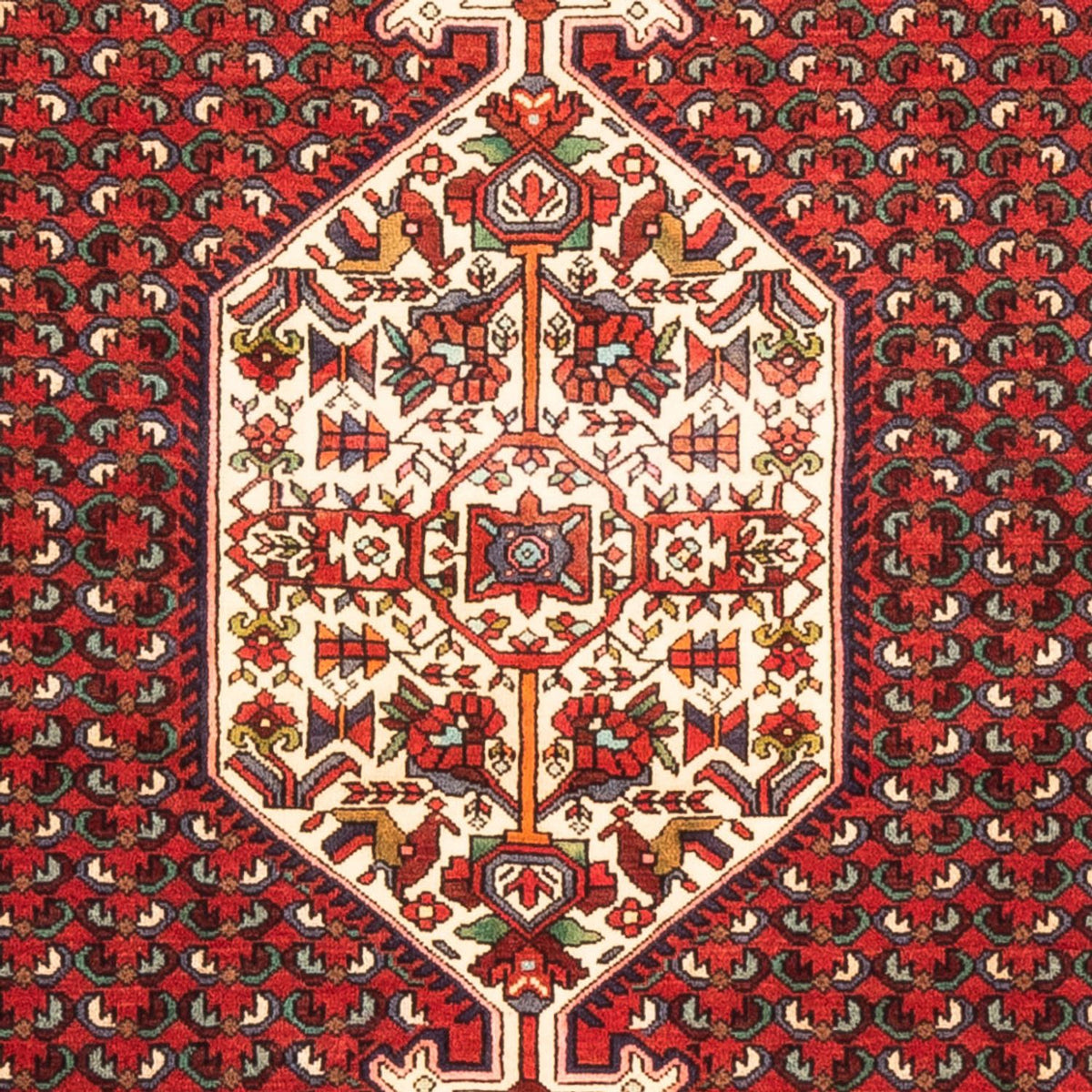Perser Rug - Nomadic - 170 x 108 cm - red