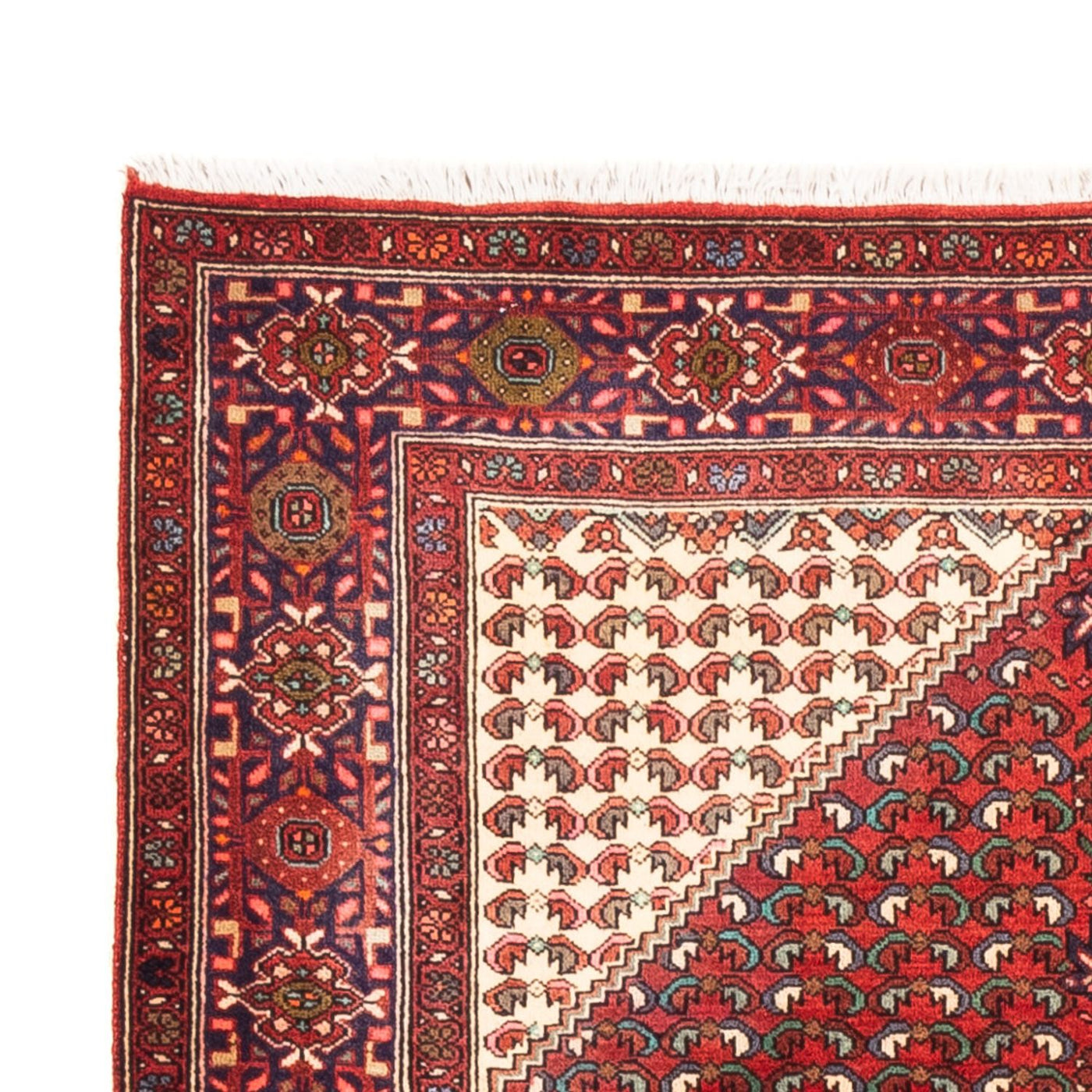 Gholtogh Rug 170x108cm - Persian Rugs
