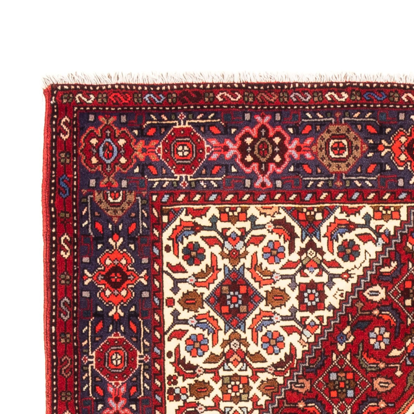 Gholtogh Rug 155x100cm - Persian Rugs