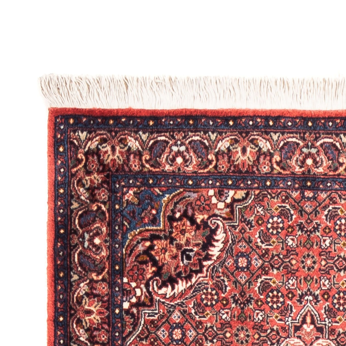 Runner Perser Rug - Bidjar - 238 x 73 cm - red