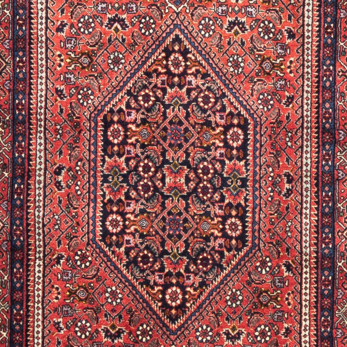 Runner Perser Rug - Bidjar - 226 x 77 cm - red