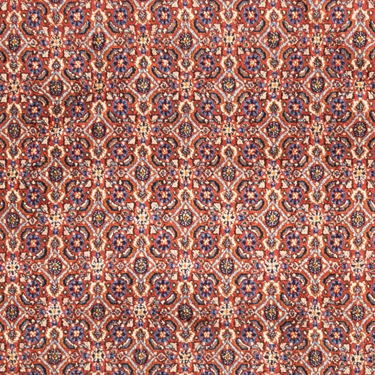 Perser Rug - Classic - 247 x 202 cm - light red