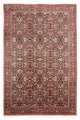 Bidjar Rug 305x200cm - Persian Rugs