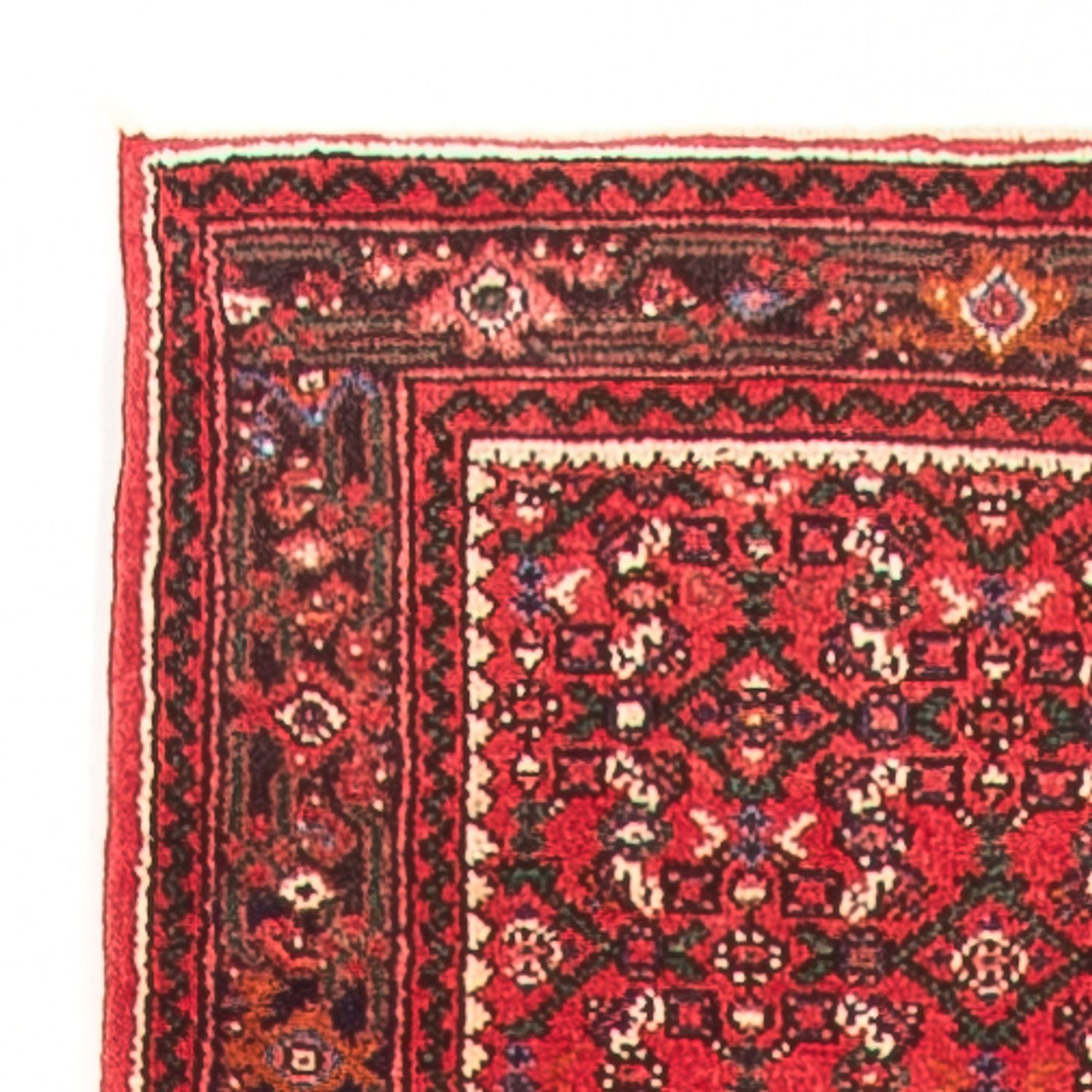 Hamadan Rug 600x80cm - Persian Rugs