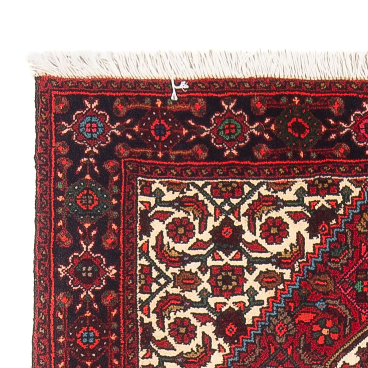 Gholtogh Rug 80x120cm - Persian Rugs