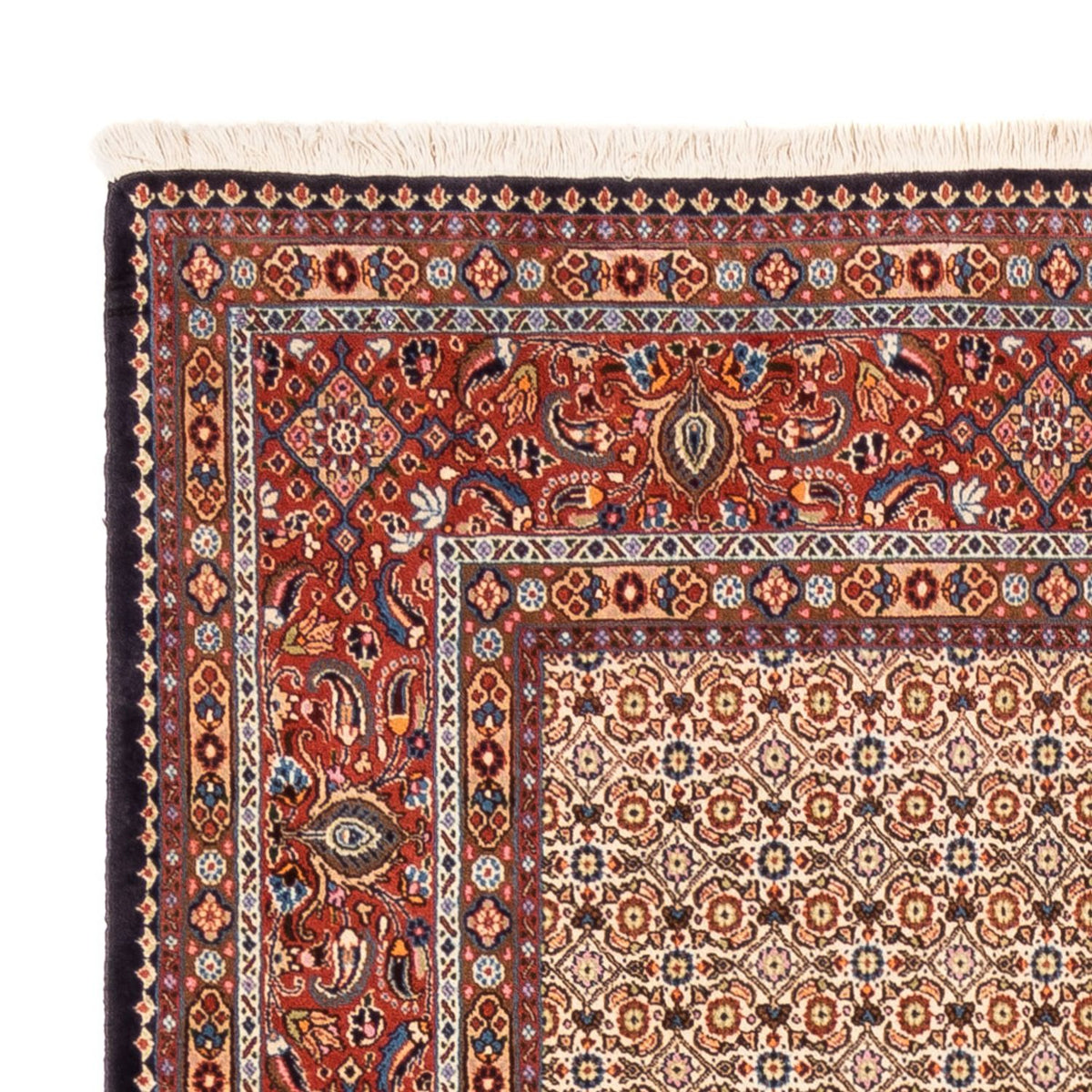 Perser Rug - Classic - 250 x 195 cm - dark beige