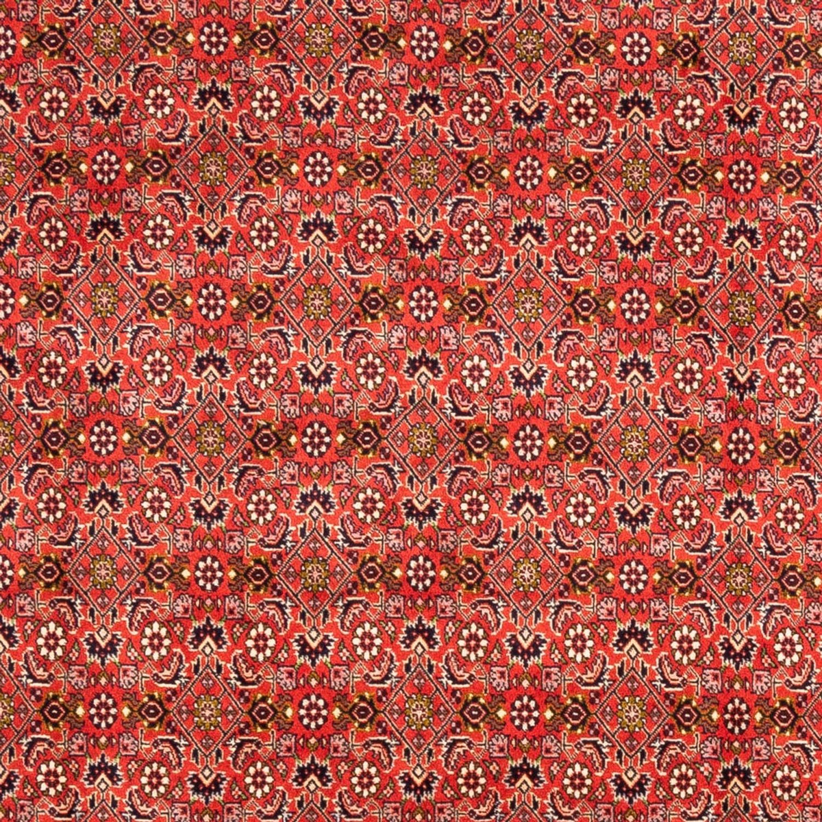 Perser Rug - Bidjar - 242 x 168 cm - red