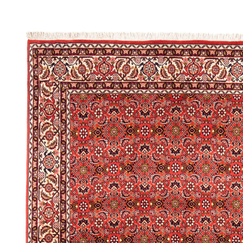 Perser Rug - Bidjar - 242 x 168 cm - red
