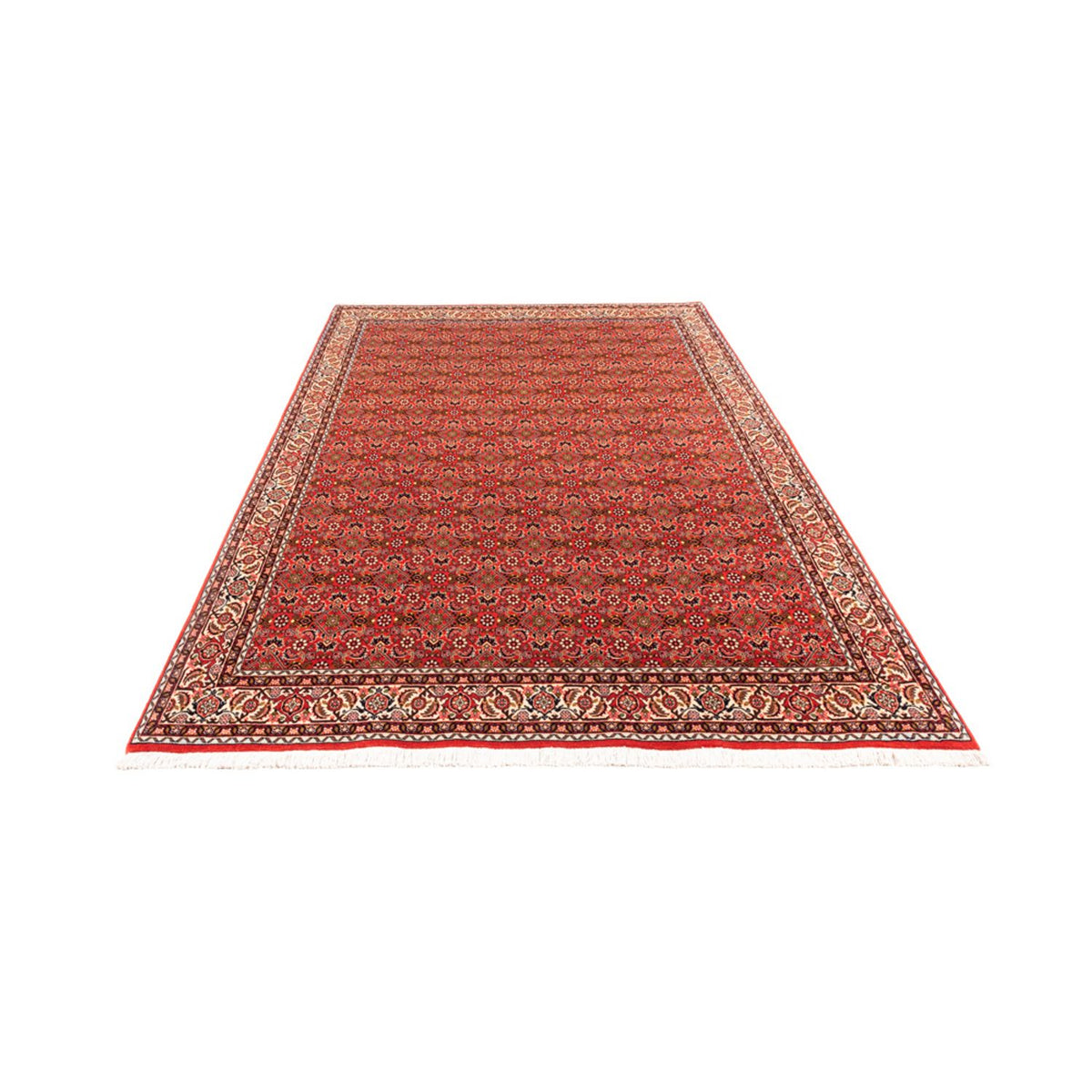 Perser Rug - Bidjar - 242 x 168 cm - red