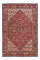 Bidjar - Bukan Rug 247x171cm - Persian Rugs