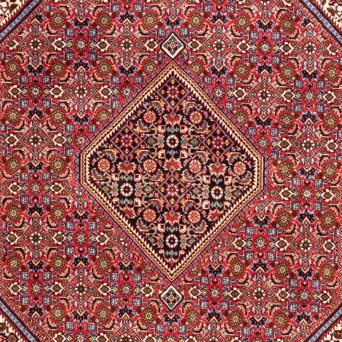 Perser Rug - Bidjar - 247 x 171 cm - red