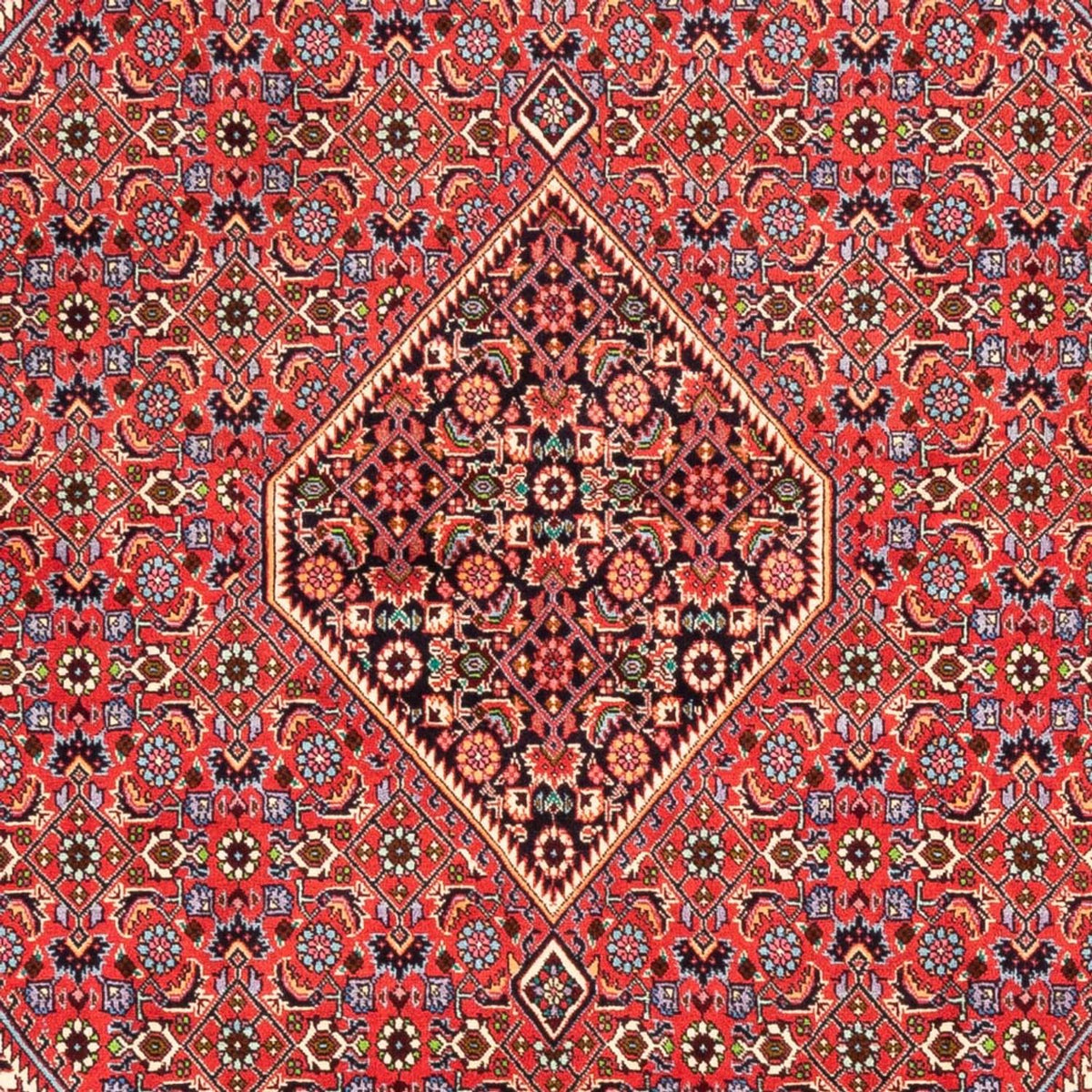 Perser Rug - Bidjar - 245 x 170 cm - red