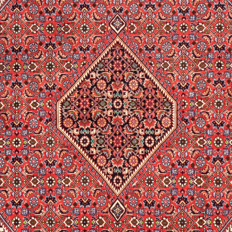 Perser Rug - Bidjar - 245 x 170 cm - red