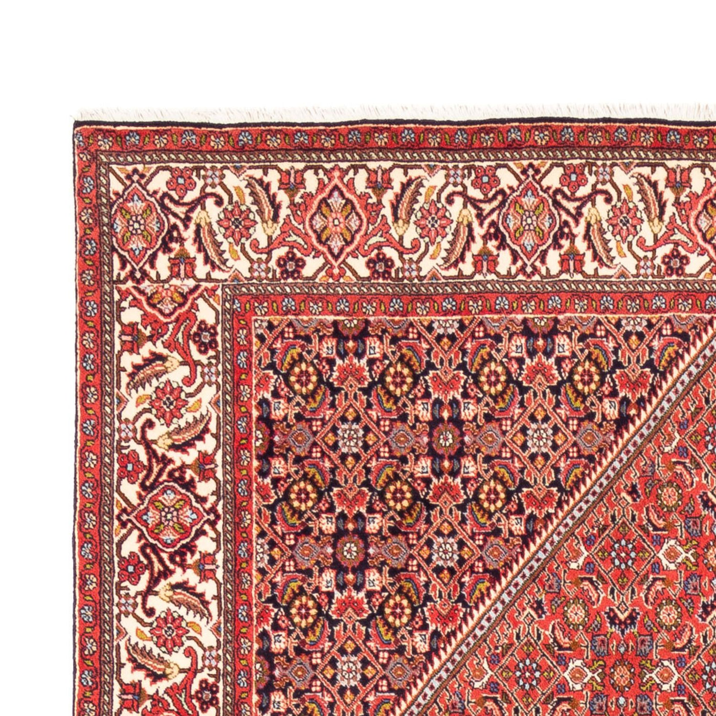 Bidjar - Bukan Teppich 244x168cm - Perserteppich
