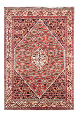 Perser Rug - Bidjar - 240 x 168 cm - red