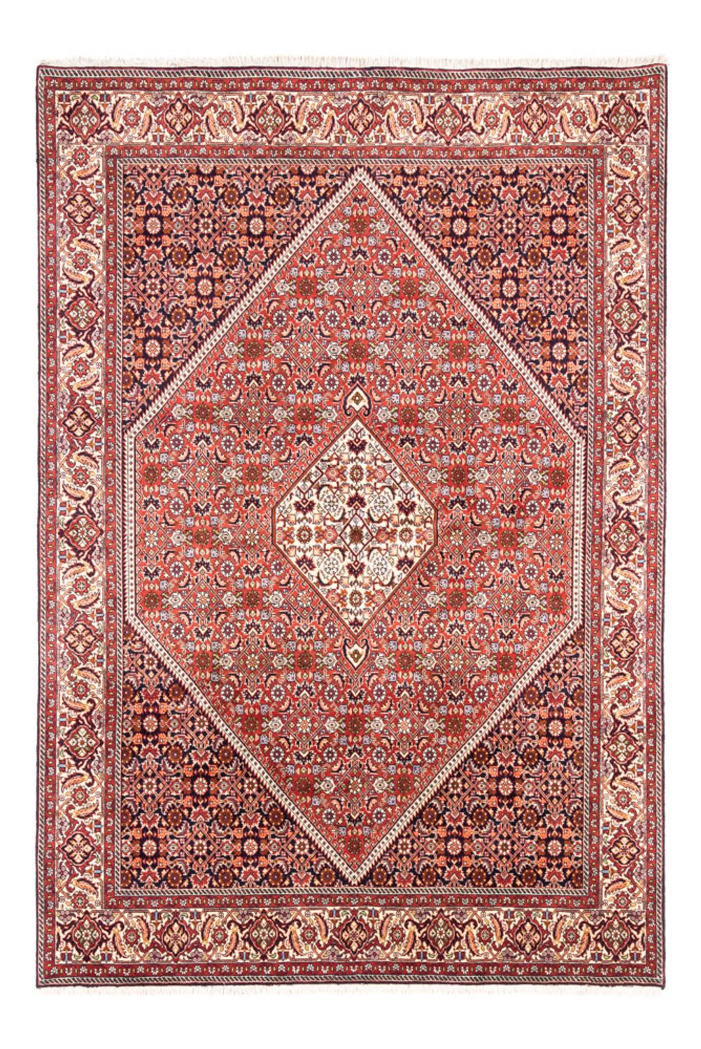 Perser Rug - Bidjar - 240 x 168 cm - red