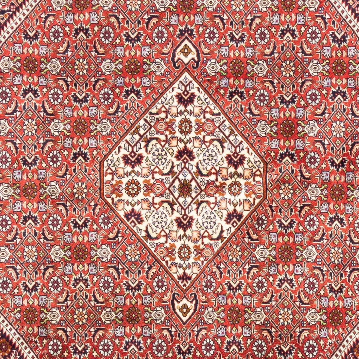 Perser Rug - Bidjar - 240 x 168 cm - red