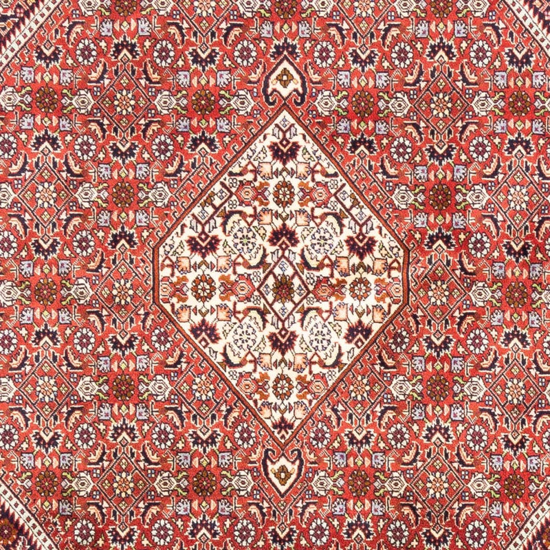 Perser Rug - Bidjar - 240 x 168 cm - red