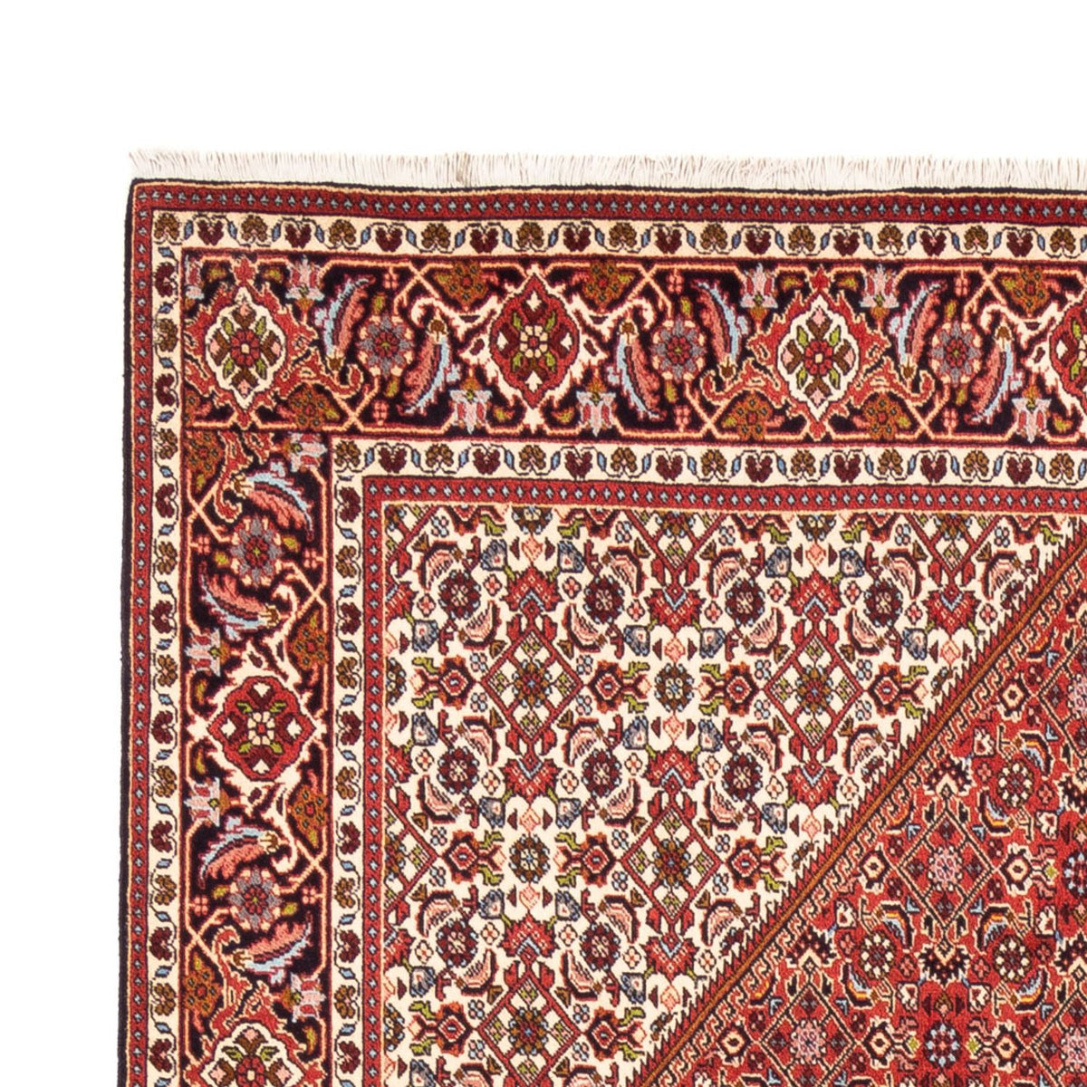 Perser Rug - Bidjar - 247 x 172 cm - red