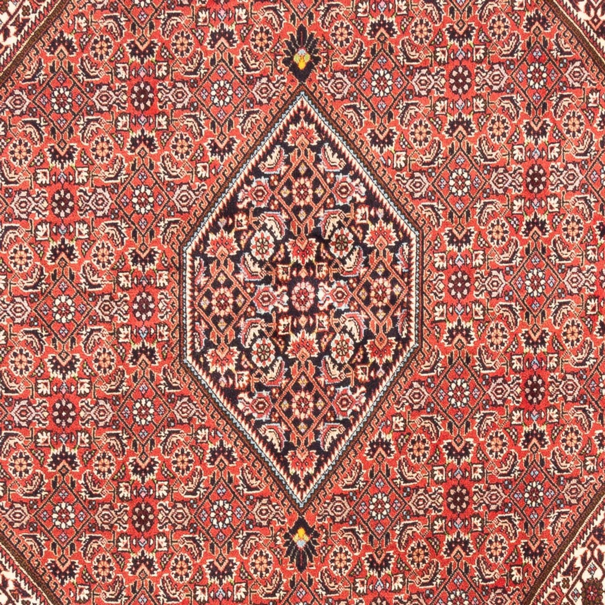 Perser Rug - Bidjar - 247 x 173 cm - red