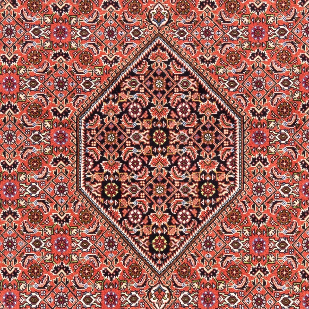 Perser Rug - Bidjar - 250 x 170 cm - red