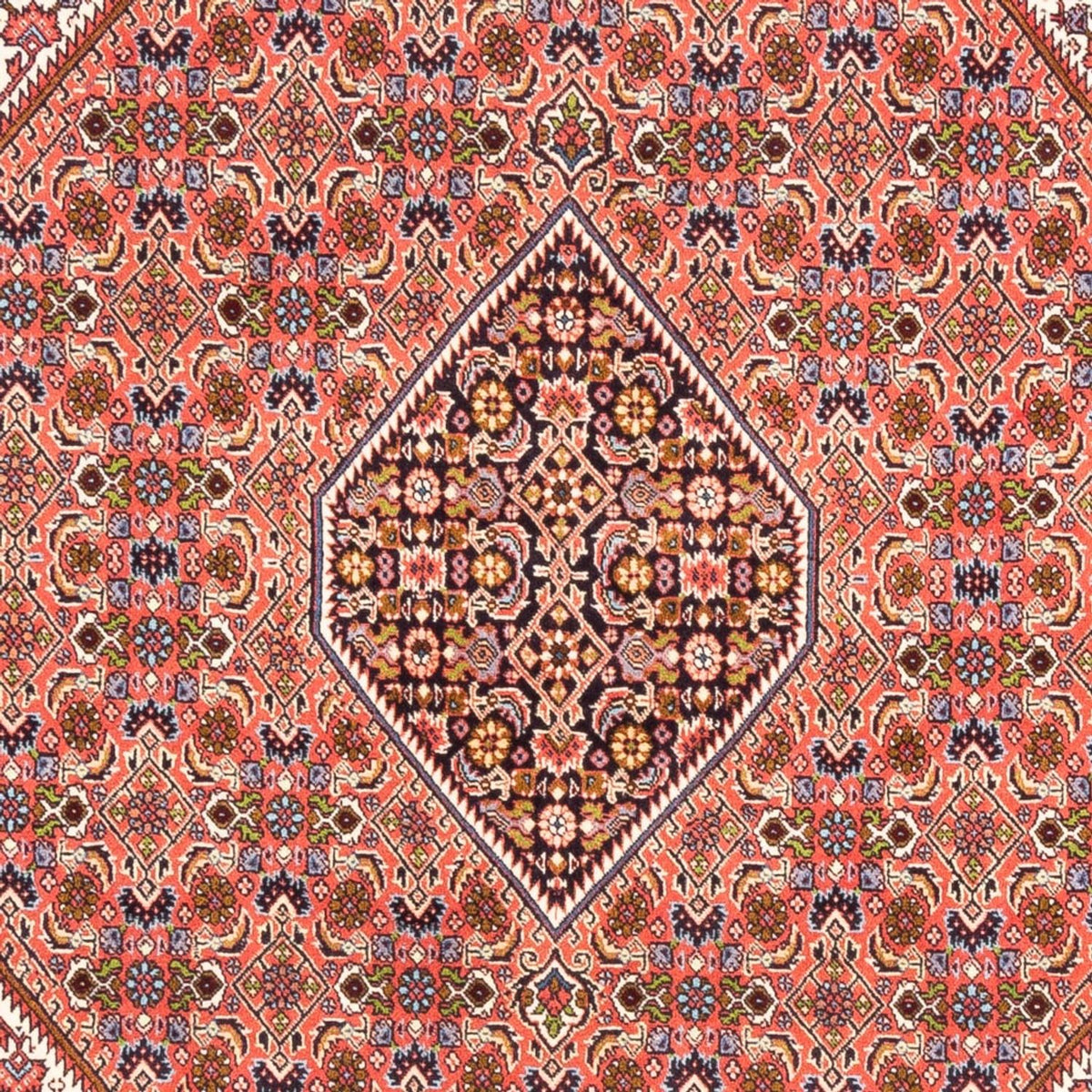 Perser Rug - Bidjar - 247 x 172 cm - red