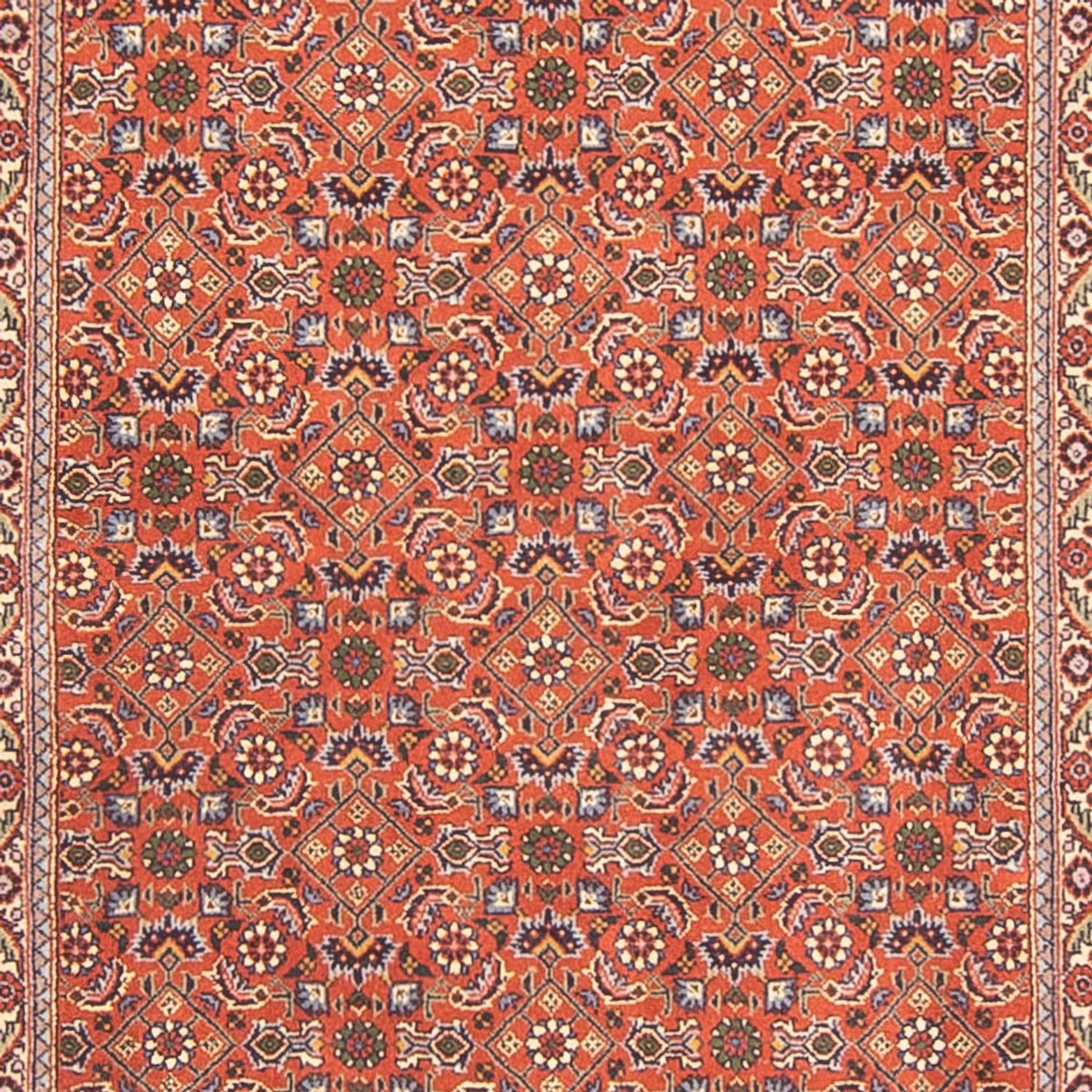 Runner Perser Rug - Bidjar - 300 x 100 cm - red