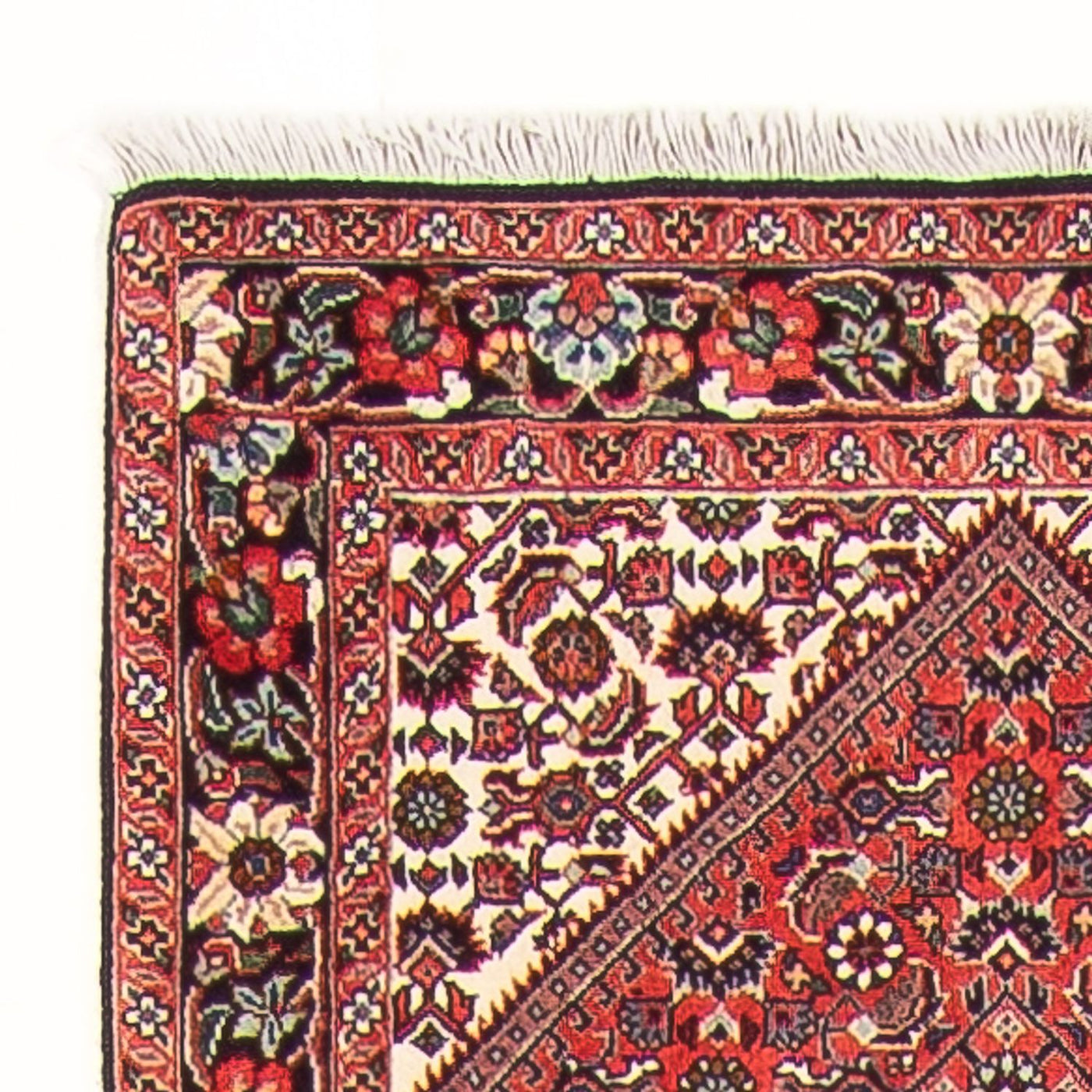 Bidjar - Takab Teppich  - Perserteppich