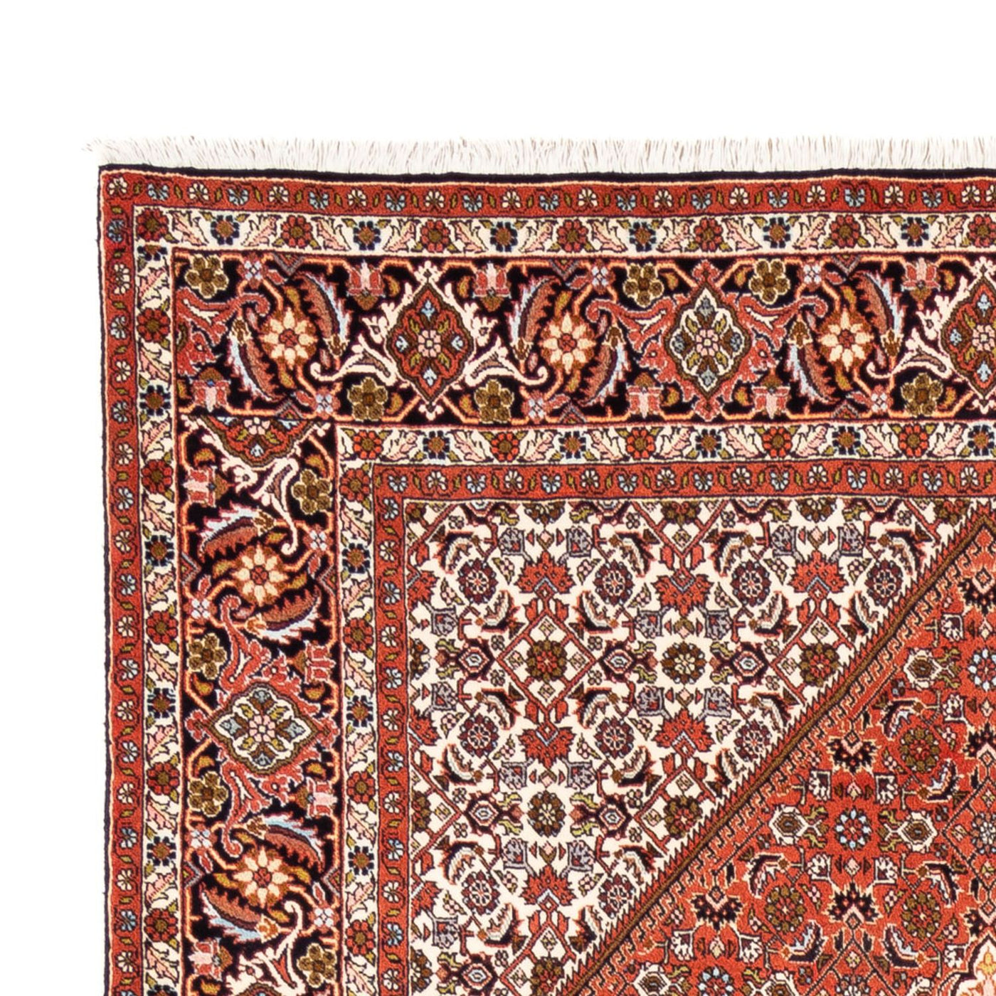 Bidjar Rug 250x172cm - Persian Rugs