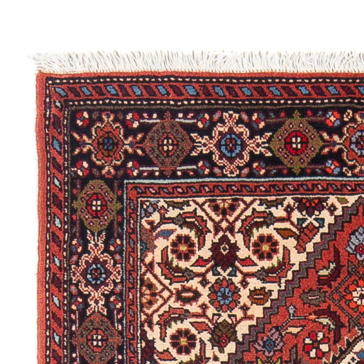 Gholtogh Rug 75x125cm - Persian Rugs