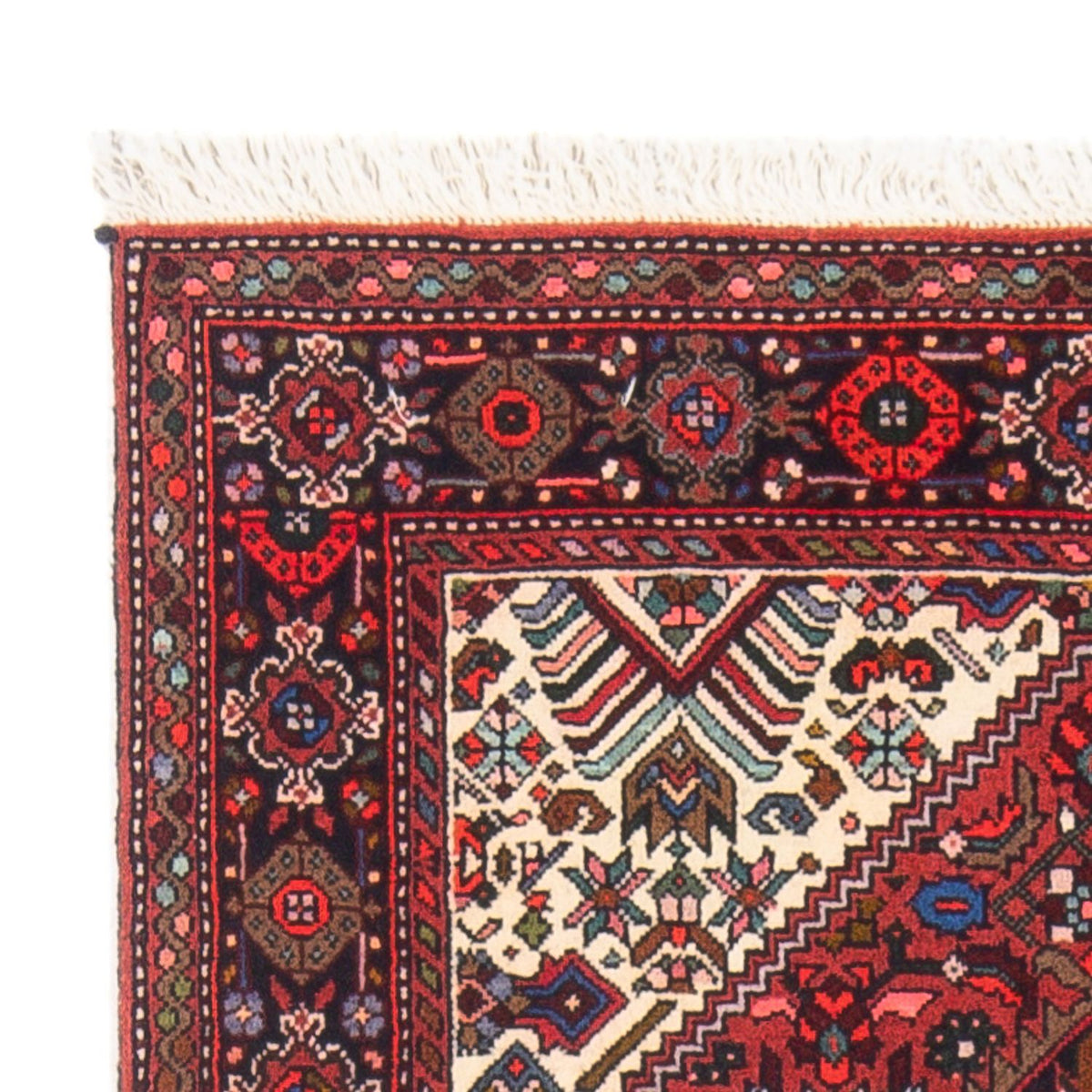 Gholtogh Rug 73x119cm - Persian Rugs
