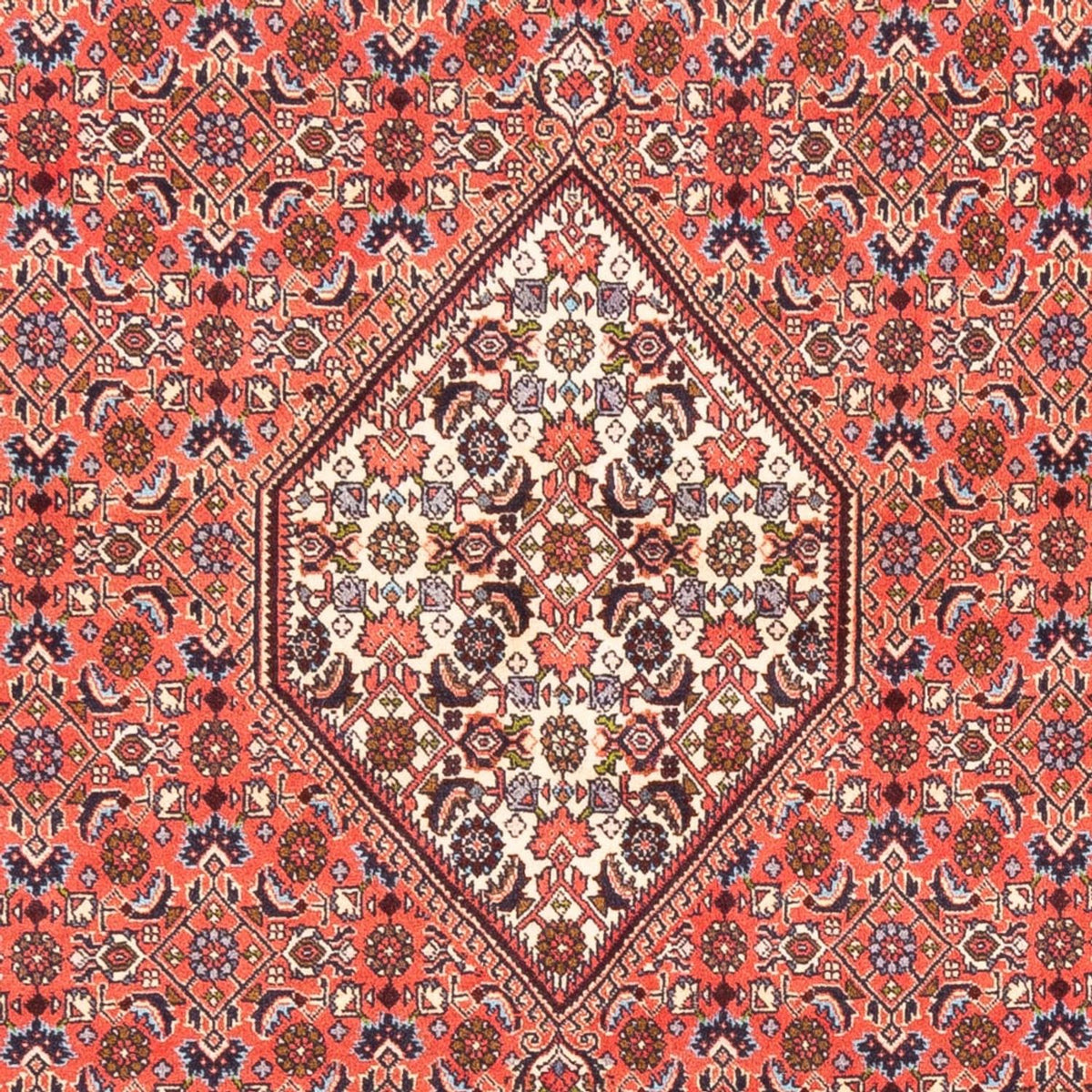 Perser Rug - Bidjar - 242 x 170 cm - red