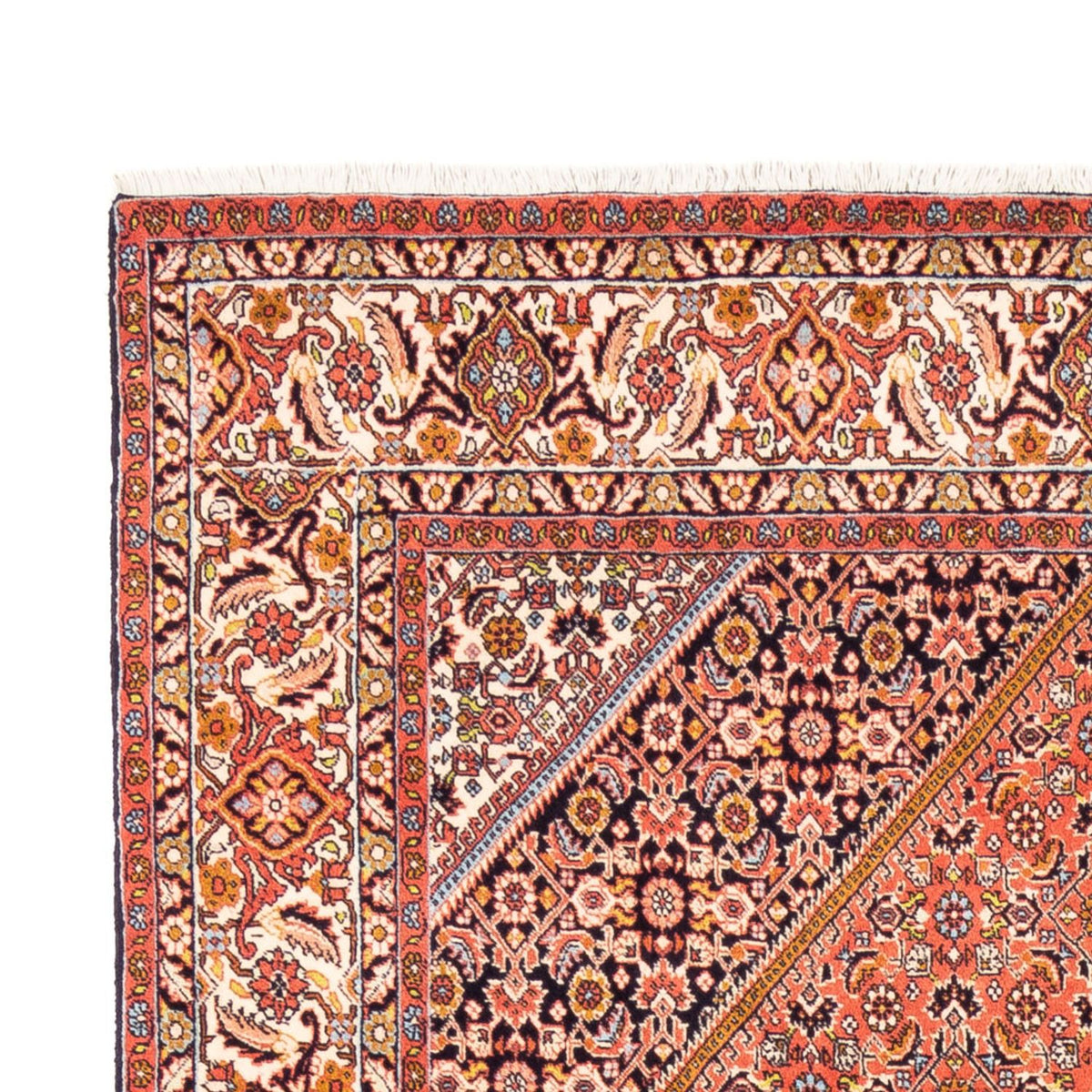 Bidjar Rug 170x241cm - Persian Rugs