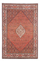 Bidjar Rug 240x173cm - Persian Rugs