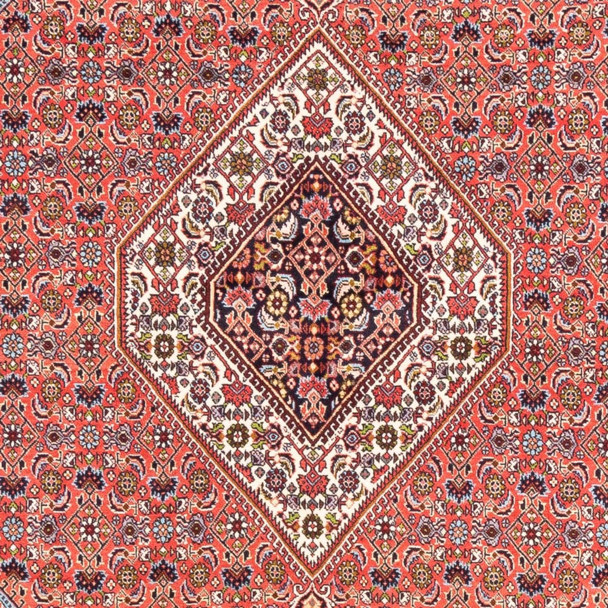 Perser Rug - Bidjar - 243 x 170 cm - red